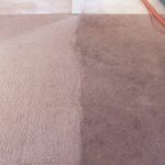Before and After Carpet Clean
