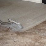 Cleaning Carpet